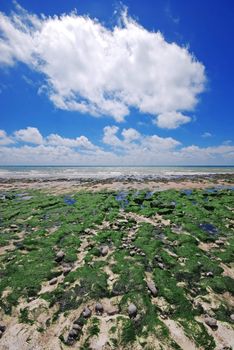 Sunny beach in Eastbourne, UK