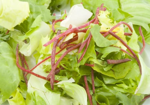 lettuce green salad - healthy eating - vegetables - close up