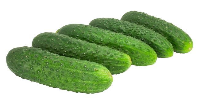 nice fresh green cucumbers isolated over white