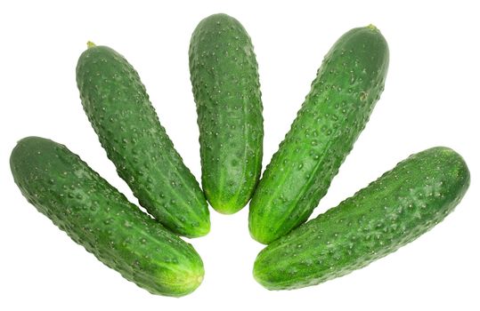 nice fresh green cucumbers isolated over white