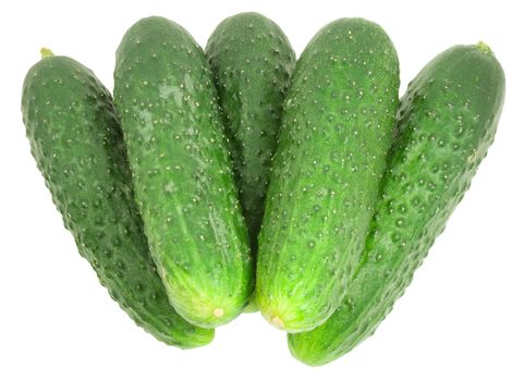 nice fresh green cucumbers isolated over white