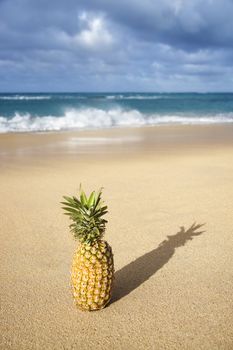Whole pineapple on tropical beach.