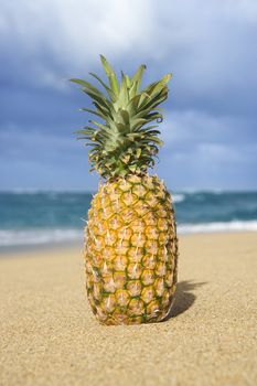 Whole pineapple on tropical beach.