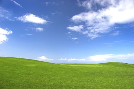 Green field with a great blue sky