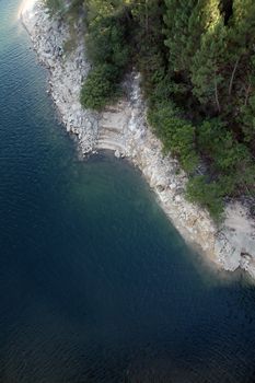 green water of river and pines