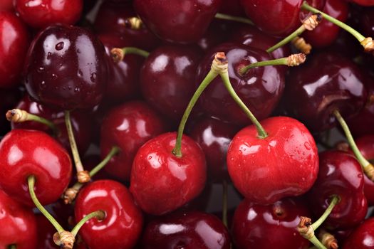 Photo of a bunch of Red cherries.