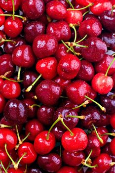 Red cherries, with water droplets.