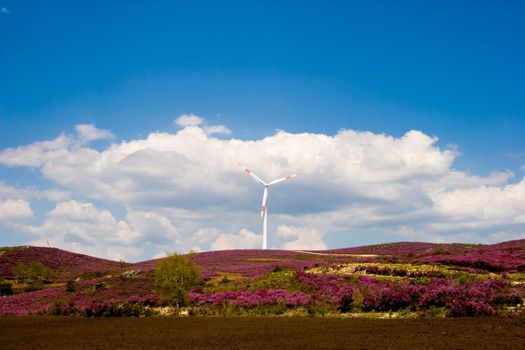 Wind Turbine on a rural field