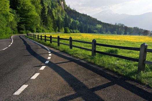 A country road next to a yellow flowered field in Switzerland