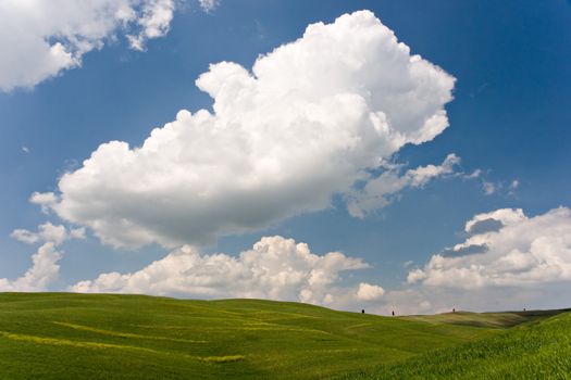 Landscape : Green field, blue sky and big white fluffy clouds. Tuscany, Italy