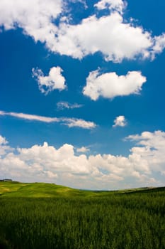 Landscape : Green field, blue sky and big white fluffy clouds. Tuscany, Italy