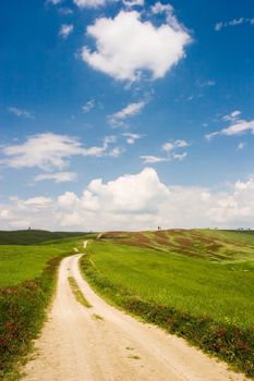 A country road on a flowered meadow in Italian Tuscany.