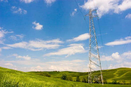 Powerline on a wide green field. Environment care.