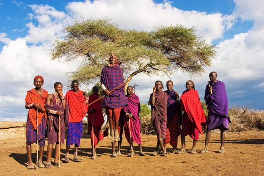 Massai welcome dance (adumu). Amboseli, Kenya