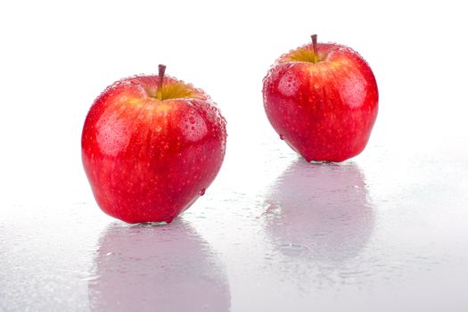 Two bright red apples, with water drops, on white background.