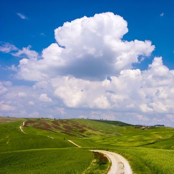 A country road on a flowered meadow in Italian Tuscany.