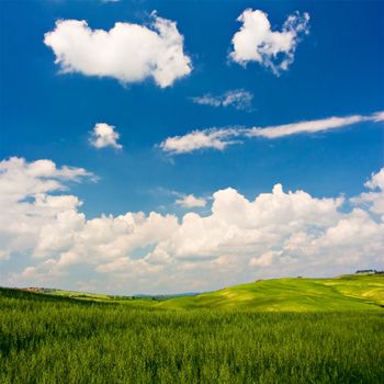 Landscape : Green field, deep blue sky and white fluffy clouds. Val D'Orcia - Tuscany, Italy