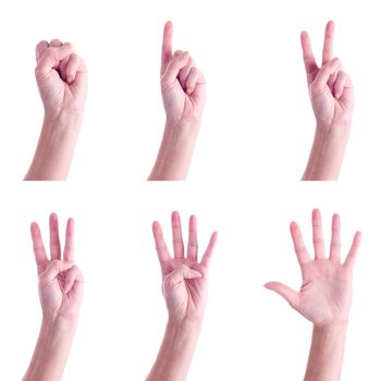 Hand gestures, counting to 5, over white background.