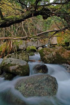 beautiful waterfall between rocks covered by moss and leaves in outumn