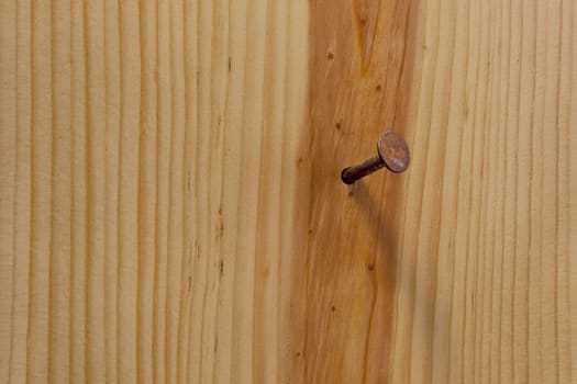 rusty nail in a wood plank or wall with grain texture