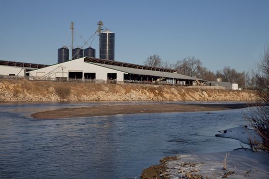 industrial barn and grain elevators of cattle ranch on shore of South Platte River in eastern Colorado