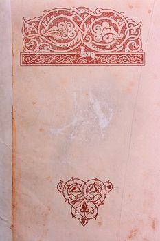 Ornament in the top and bottom part of page of the old manuscript.