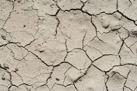 Detail of the parched earth