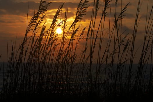 a picture of beach scene at dawn