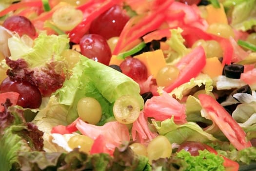 fresh leafy green caesar  salad in a bowl
