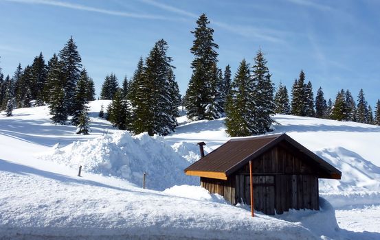 Little chalet made of wood and fir trees by winter