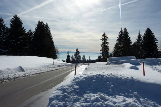 View of the Alps from a road surrounded by fir trees in the mountain by winter