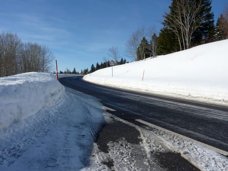 Road in the mountain surrounded by fir trees by winter