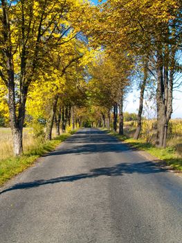 Country road in Poland. Autumn colorful day.
