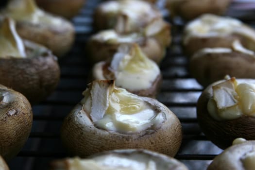 Mushrooms with cheese filling on the BBQ