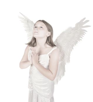 high key little angel fairy girl praying