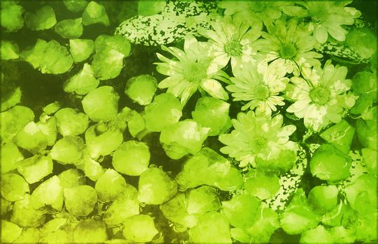 A Grunge Parchment Floral as Abstract Background