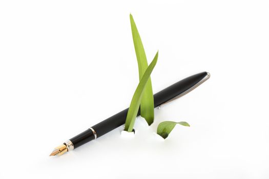 Fountain pen lying near green leaves growing out of white background 