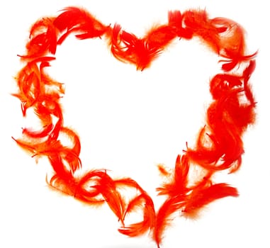 Heart with orange feathers on white background