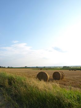 Straws bales on field in the summer         