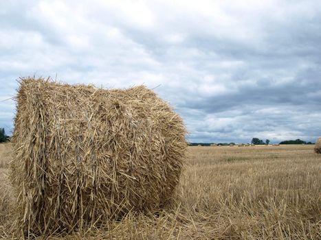 Straws bale on field in the summer