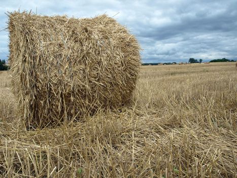 Straw bales on field in the summer