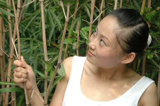 Chinese girl watching and holding bamboo tree.