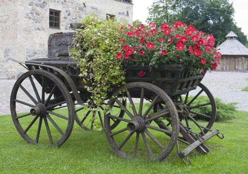 antique carriage, is used as a flower