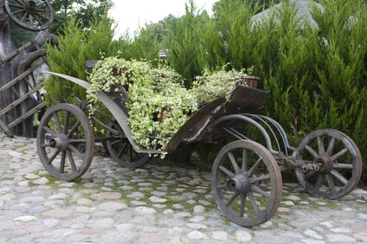 antique carriage, is used as a flower