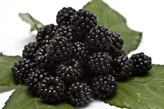 Blackberries isolated on a white background.