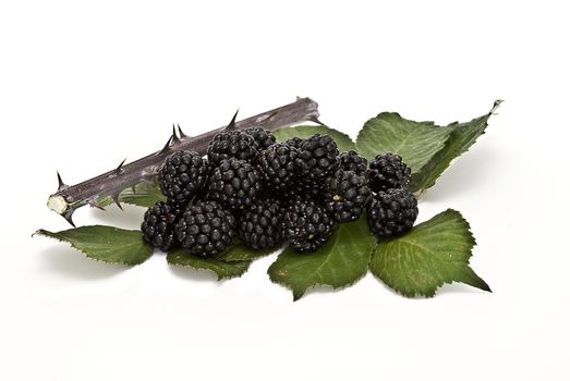 Blackberries isolated on a white background.