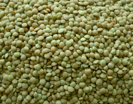 macro pattern of green lentil ( bob )