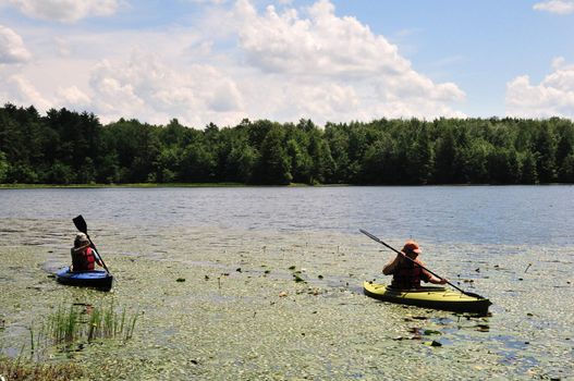 Two brothers kayaking on a pond in the summer.