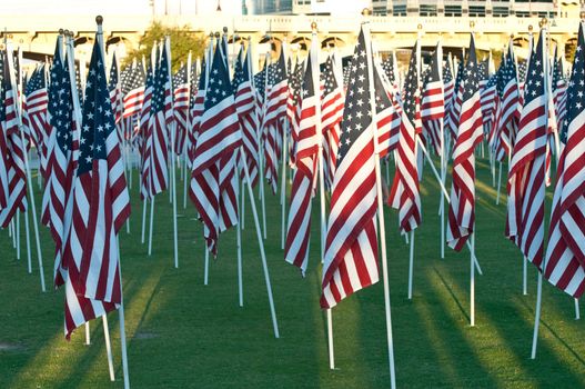 American flags