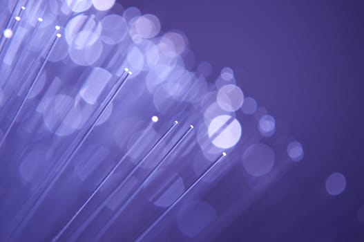 Close and low level capturing the ends of many illuminated, violet fibre optic light strands.